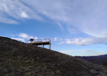 01-scaled-1-1068x801