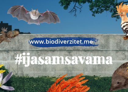 EUIC_Biodiverzitet_SocialMediaVisuals_Facebook_NewsFeedPost