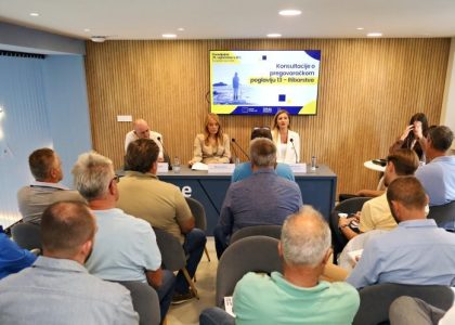 Konsultacijama-o-pregovarackom-poglavlju-13-4-1068x712